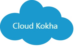 cloud-kokha ระบบสาระสนเทศโรงพยาบาล